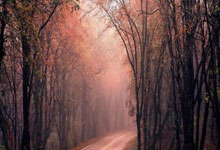 B体育体育下载-贵州队客场逆袭！突破重围抢占季后赛门票，迎来关键胜利