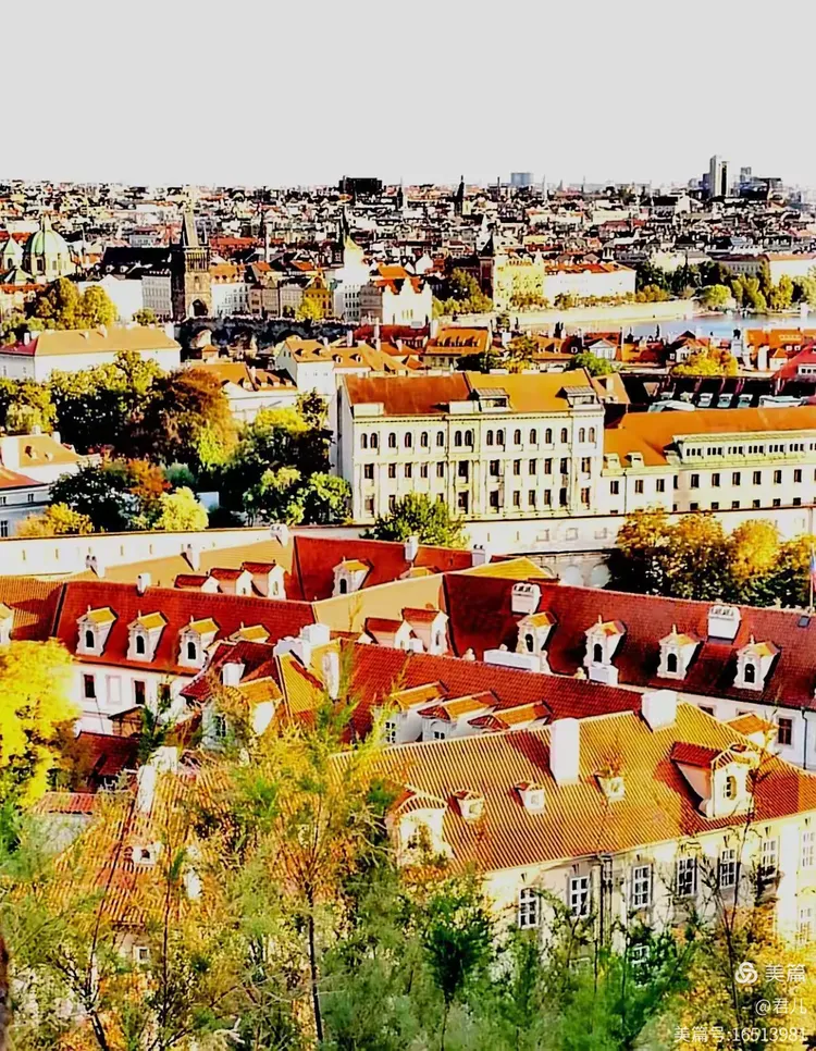 B体育体育app下载地址-波兰破解全胜破案,斯洛伐克险胜晋级