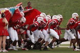 B体育体育网址-火爆对决！顶级球队争分夺秒